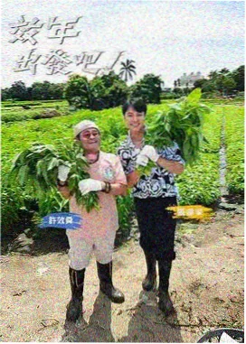 彩蛋解读资讯图